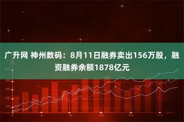 广升网 神州数码：8月11日融券卖出156万股，融资融券余额1878亿元