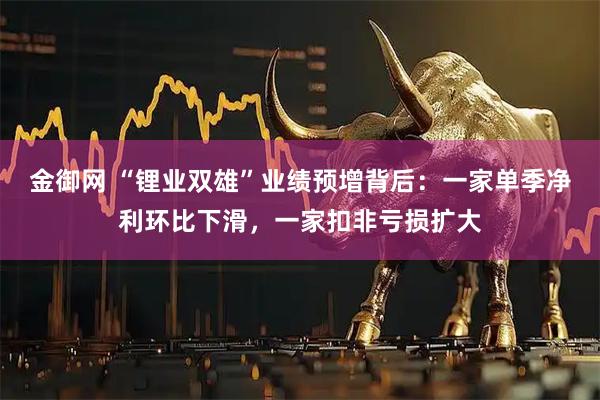 金御网 “锂业双雄”业绩预增背后：一家单季净利环比下滑，一家扣非亏损扩大